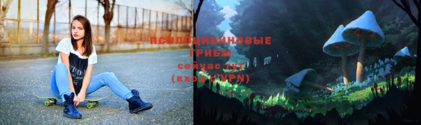 бошки Волосово