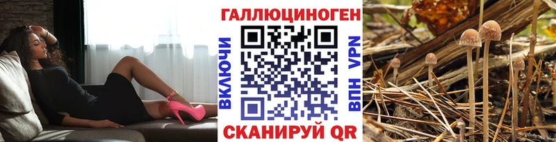 Псилоцибиновые грибы ЛСД  Новосибирск 